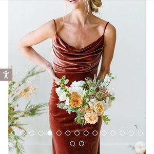 Revelry Skye Velvet Dress